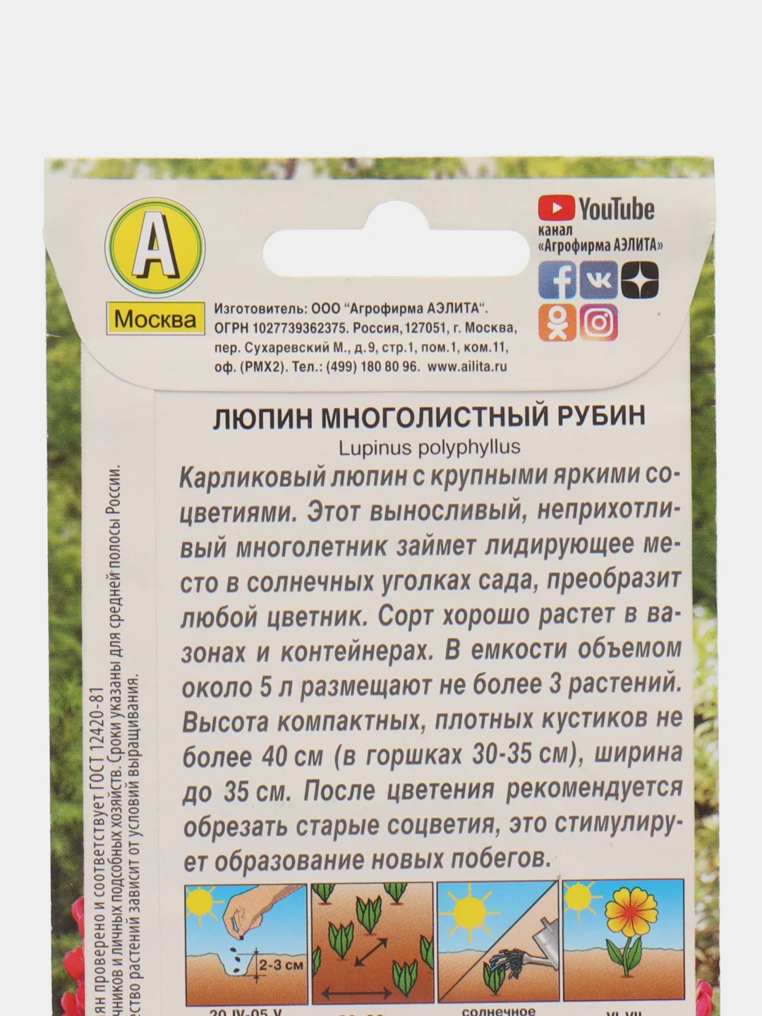 Алый люпин многолистный в ассортименте, семена цветов