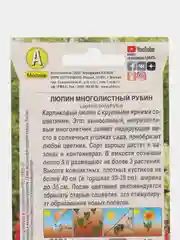 Алый люпин многолистный в ассортименте, семена цветов