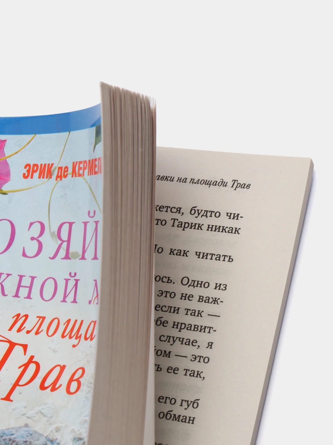 Кермель Э. де Хозяйка книжной лавки на площади Трав