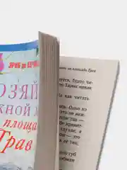 Кермель Э. де Хозяйка книжной лавки на площади Трав