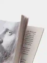 Синельников В.В. Сила намерения. Как реализовать свои мечты и желания