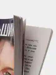 Право на деньги, К.Е. Меньшикова