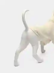 Кремовый худи для собак и кошек, толстовка, костюм