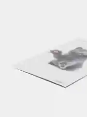 Коралловый меланж временные татуировки