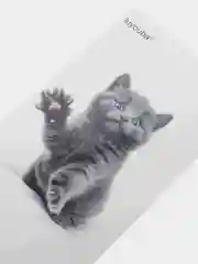 Коралловый меланж временные татуировки