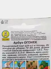 Семена Арбуз Аэлита "Огонек", 15 штук