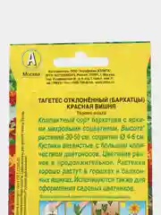 Семена Аэлита Бархатцы отклоненные "Красная вишня", 0,3 грамм