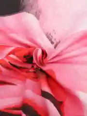 Розовый комплект постельного белья, 1,5 спальный, сатин