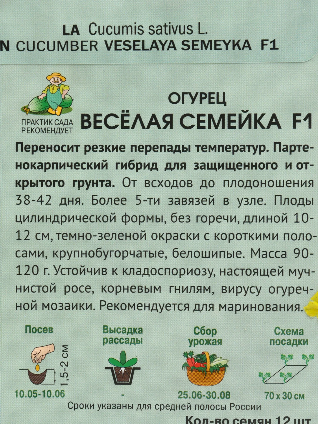 Семена Огурец "Веселая семейка F1", Поиск, 12 штук