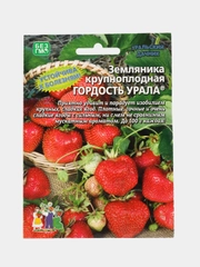 Семена Земляника "Гордость Урала", крупноплодная