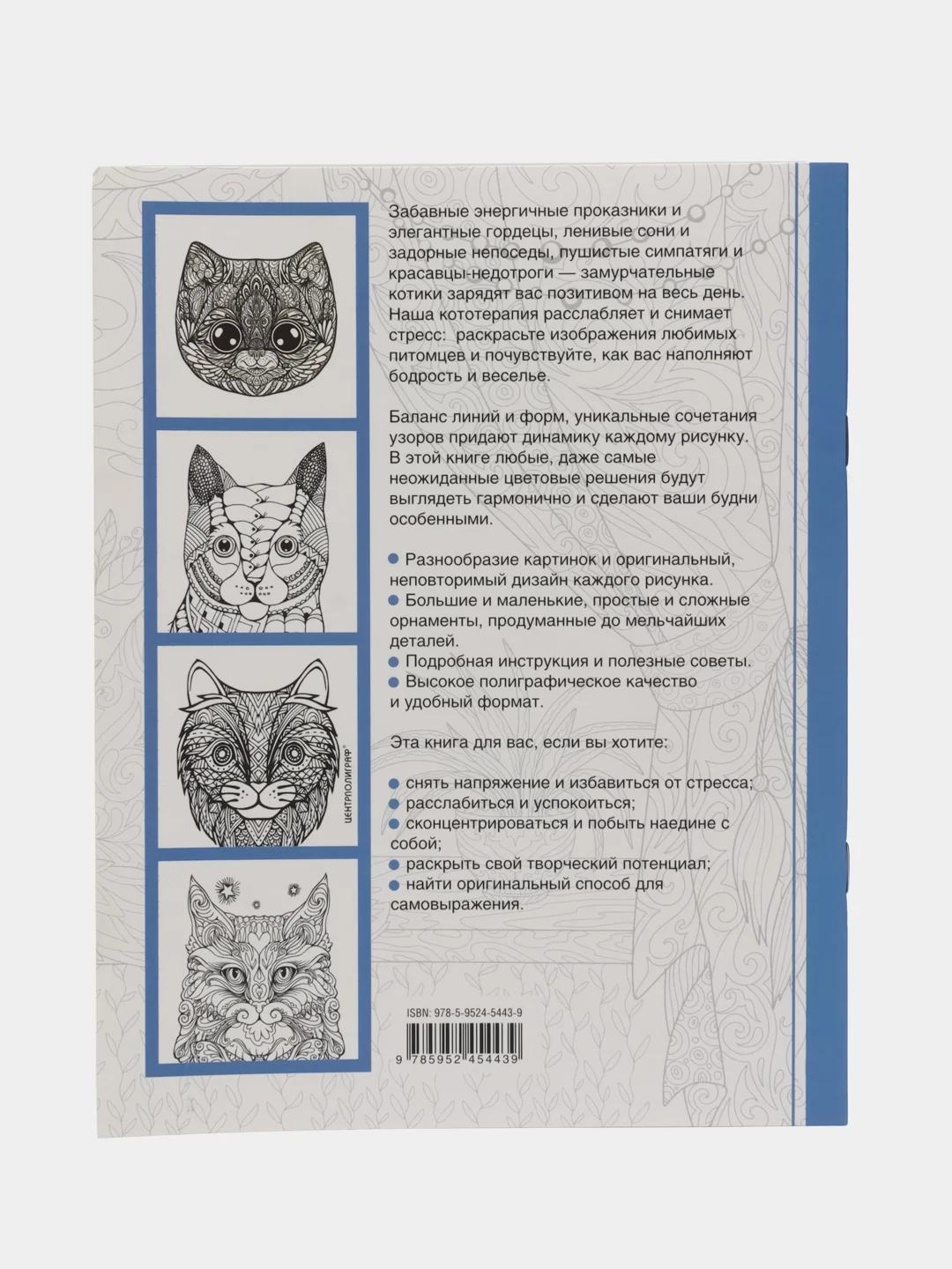Cats-5. Творческая раскраска замурчательных котиков, Тейлор Л.