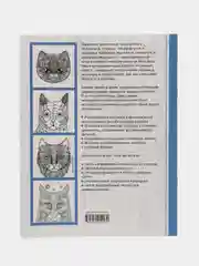 Cats-5. Творческая раскраска замурчательных котиков, Тейлор Л.