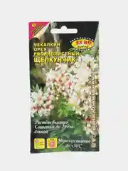Чекалкин орех "Щелкунчик", семена, цветы