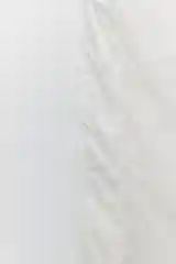 Молочный пальто befree женское