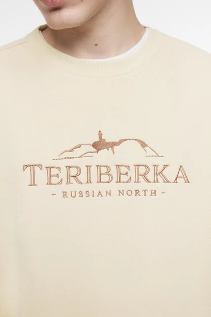 Бежевый джемпер befree мужской