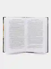 Книга Бадж У. "Царство мертвых, обряды и культы древних египтян"