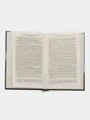 На руинах Османской империи. Новая Турция и свободные Балканы. 1801-1927, Миллер У.