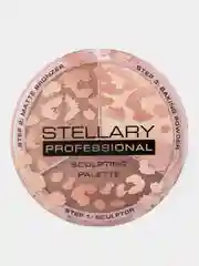 Контуринг для лица STELLARY, тон 02, 9,1 г