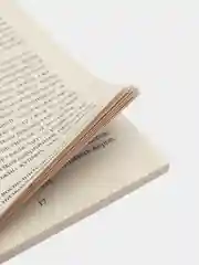 Книга "Ежевика. Мощный лекарь от ста недугов", Константинов Ю. Ю.