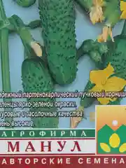 Семена Огурец "Кузнечик F1", 10 штук