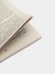 Плодовый сад. Минимум знаний для максимального урожая, Анна Зорина
