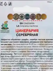 Семена Цинерария "Серебряная", 0,2 г, Поиск