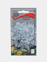 Семена Цинерария "Серебряная", 0,2 г, Поиск