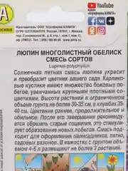 Разноцветный люпин многолистный в ассортименте, семена цветов