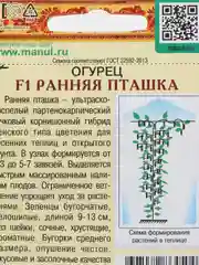 Семена Огурец "Ранняя пташка F1", 10 штук, Манул