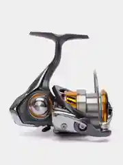 Золотой катушка Daiwa Regal
