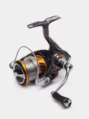 Золотой катушка Daiwa Regal