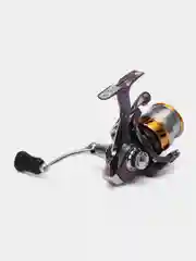Золотой катушка Daiwa Regal
