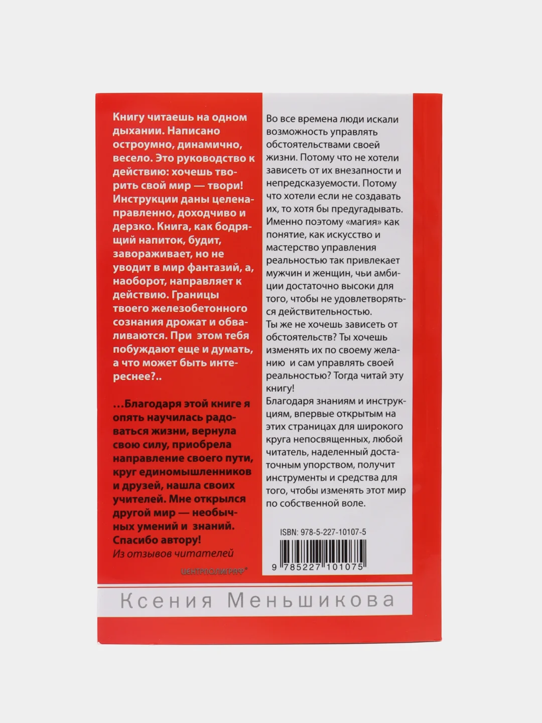 Меньшикова К.Е. Искусство управления реальностью. Ты можешь всё