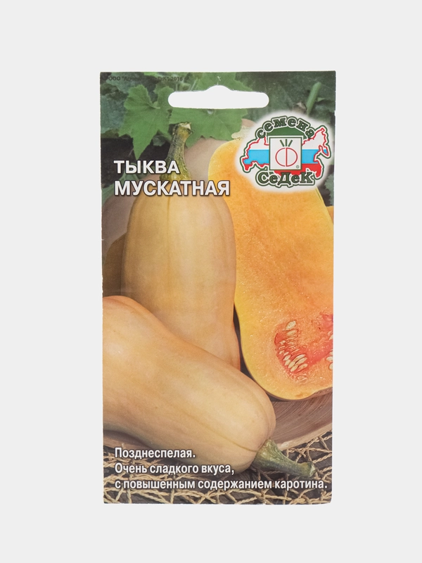 Семена тыква "Мускатная", Седек