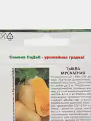 Семена тыква "Мускатная", Седек