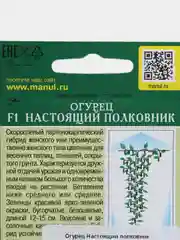 Семена Огурец "Настоящий полковник F1", 10 штук