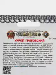 Семена Укроп Грибовский "Кольчуга", 2 г
