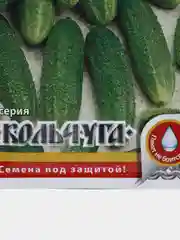 Огурец Кольчуга "Гинга F1", 10 штук, семена