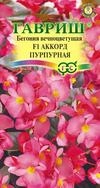 Семена цветов бегонии "Аккорд"