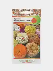 Семена цветов Цинния "Пеперминт Стик", 30 штук