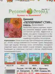 Семена цветов Цинния "Пеперминт Стик", 30 штук