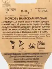 Семена Морковь "Нантская красная", Аэлита, сеялка, 4 г