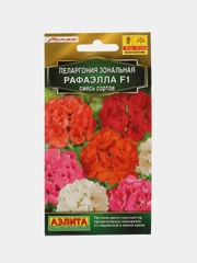 Пеларгония Аэлита "Рафаэлла F1", смесь окрасок, 5 штук