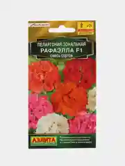 Пеларгония Аэлита "Рафаэлла F1", смесь окрасок, 5 штук