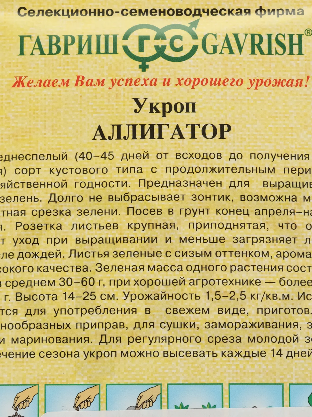 Семена Укроп "Аллигатор", 2 г