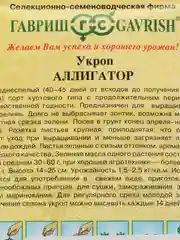 Семена Укроп "Аллигатор", 2 г