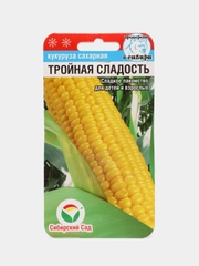 Семена Кукуруза "Тройная сладость", Сибирский сад, 10 штук