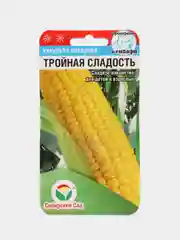 Семена Кукуруза "Тройная сладость", Сибирский сад, 10 штук