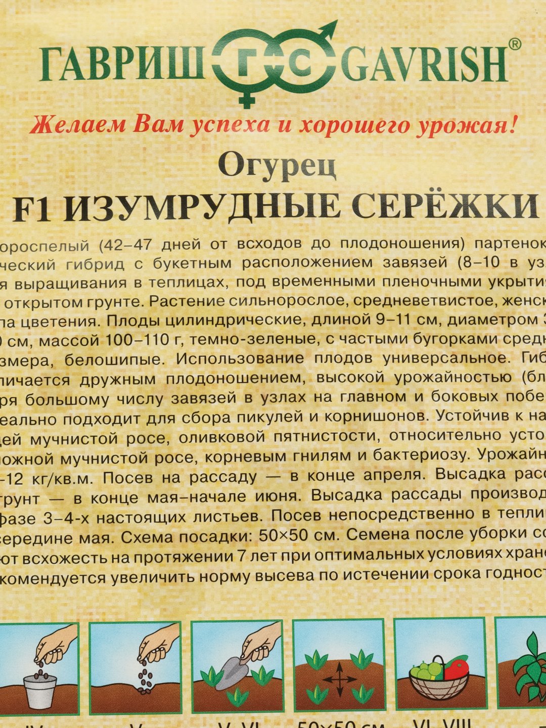 Огурцы Изумрудная Сережка Отзывы Фото