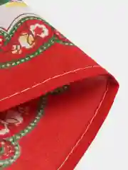 Лайм женский носовой платок из хлопка